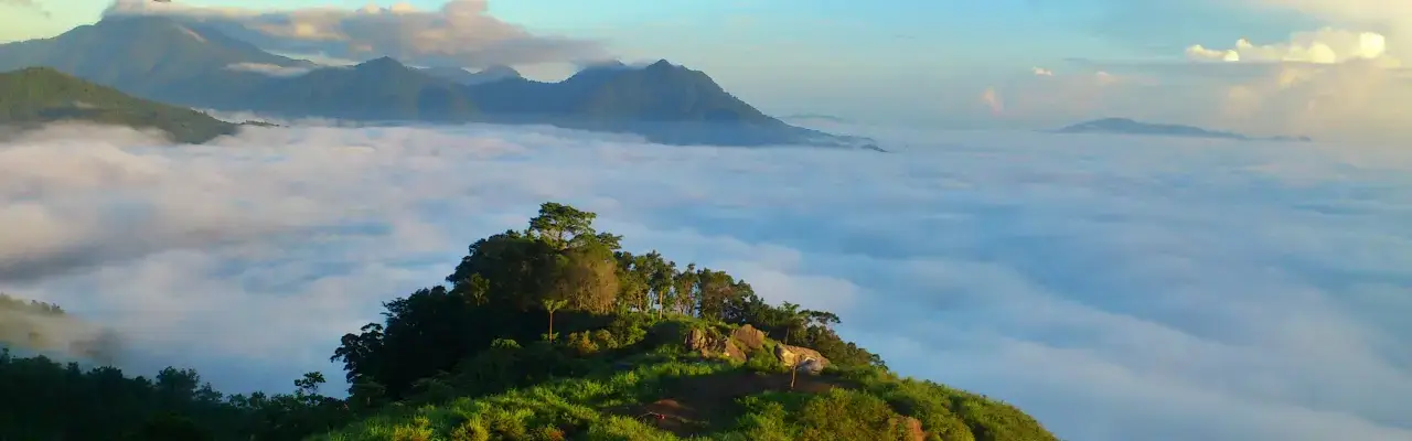 bukit jamur bengkayang